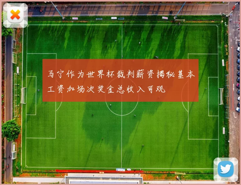 马宁作为世界杯裁判薪资揭秘基本工资加场次奖金总收入可观